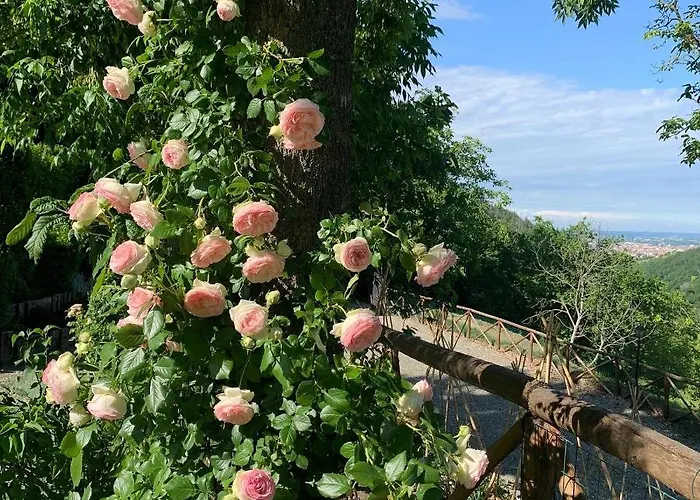 Antico Podere San Luca - Con Cucina